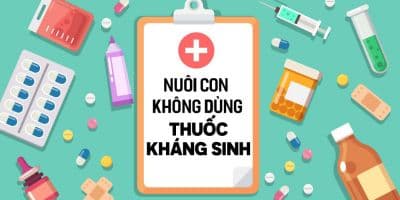 Nuôi con không dùng thuốc kháng sinh - Lê Anh Quốc