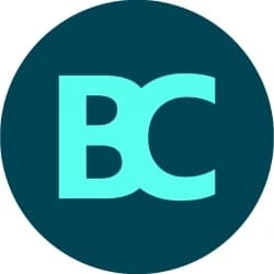 Bess Career