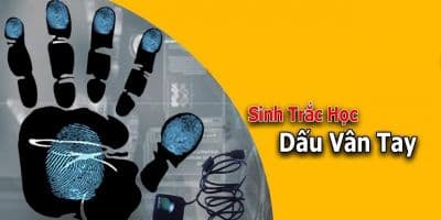 Sinh trắc vân tay - đánh thức tiềm năng kinh ngạc trong bạn