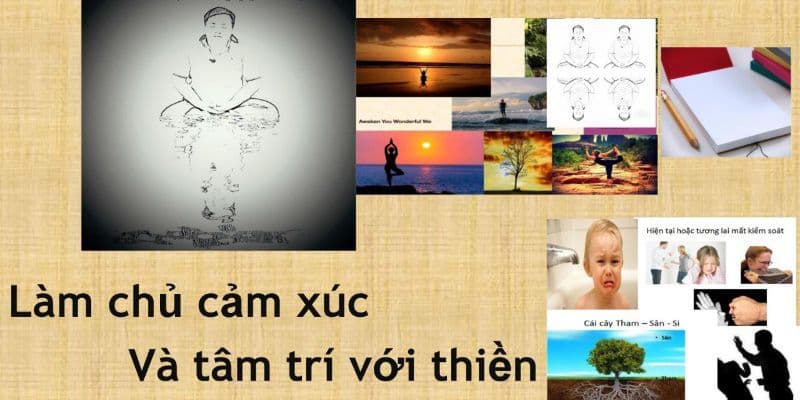 Tham, Sân, Si và Thiền trong quản trị cảm xúc