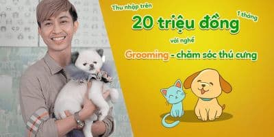 Thu nhập trên 20 triệu đồng 1 tháng với nghề Grooming - chăm sóc thú cưng - Tôn Thất Anh Khương