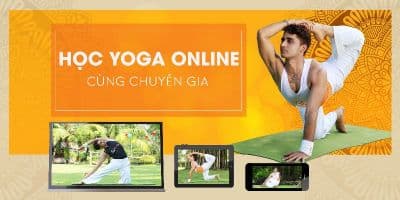 Học Yoga Online Cùng Chuyên Gia - VYOGA WORLD