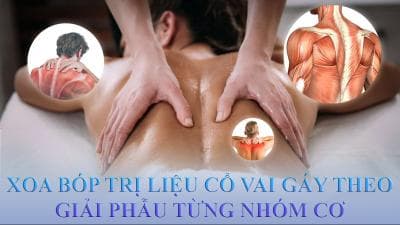 Trị Liệu Đau Cổ Vai Gáy Theo Giải Phẫu Từng Nhóm Cơ - Tống Thị Thủy