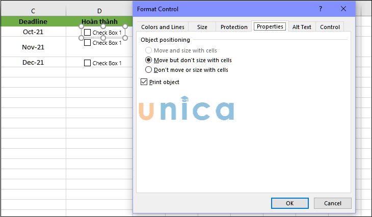 Dinh-Dang-Checkbox-in-Excel